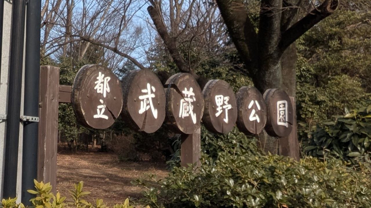 Winter trees at the park near Fuchu