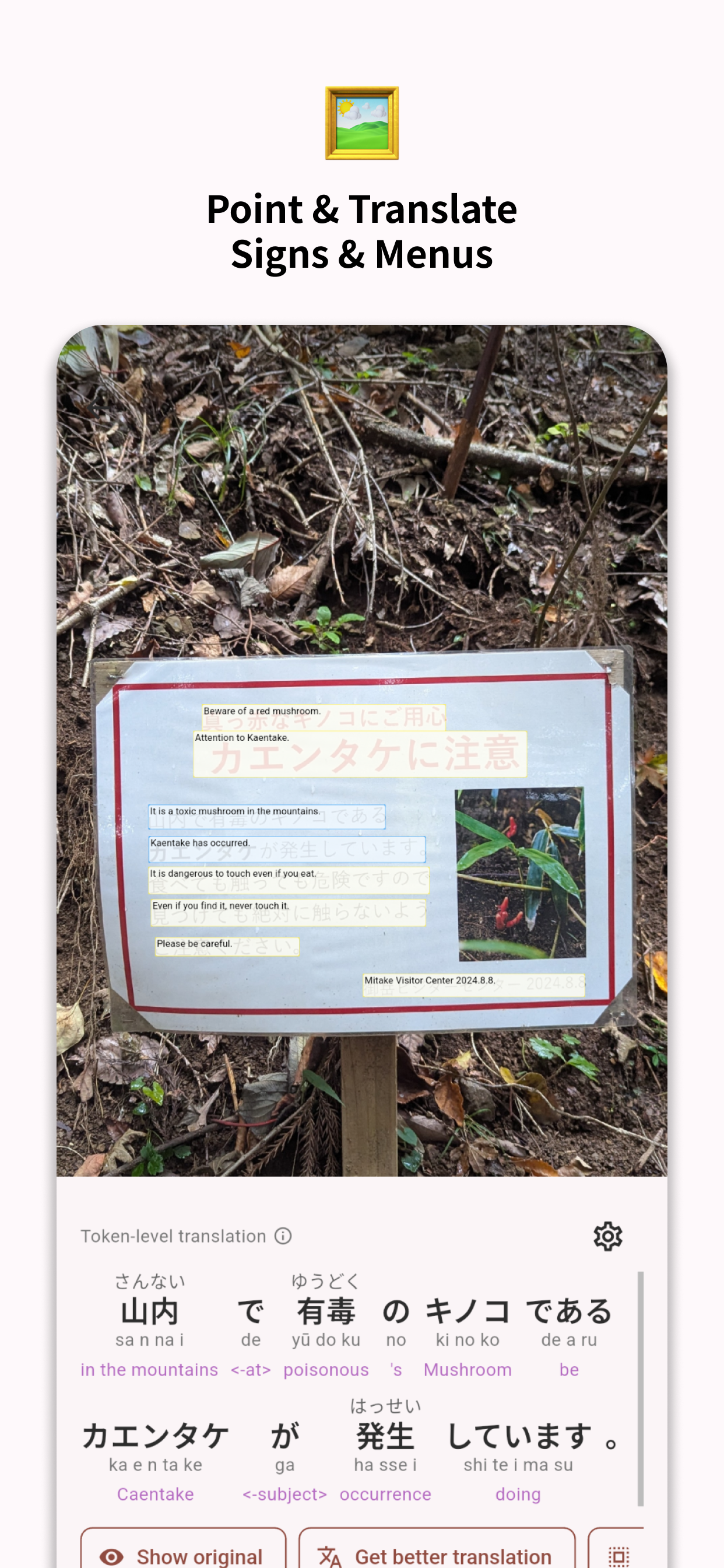 Point & Translate signs and menus