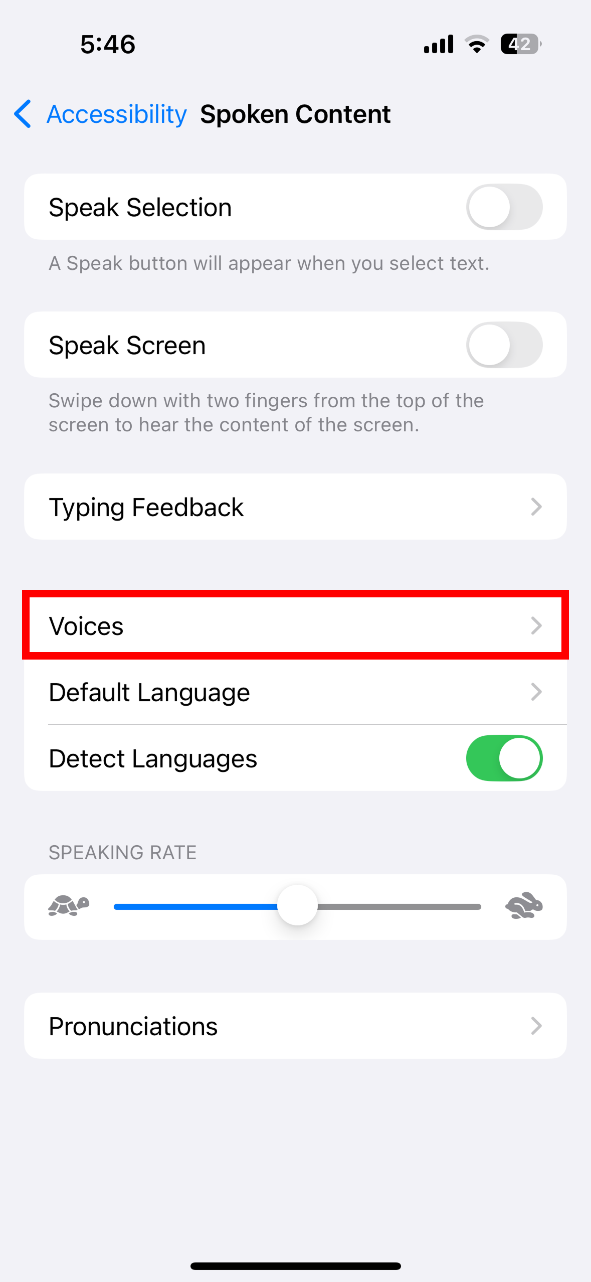 Spoken Content screen showing Voices